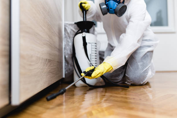 Best Pest Control Near Me  in St Clair Shores, MI