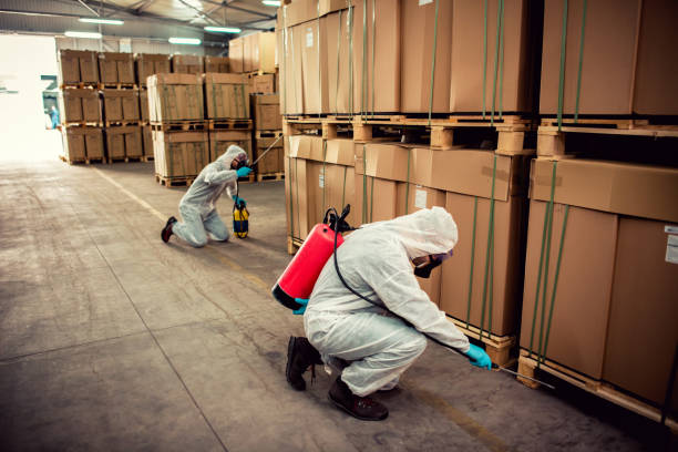 Best Termite Control Services  in St Clair Shores, MI