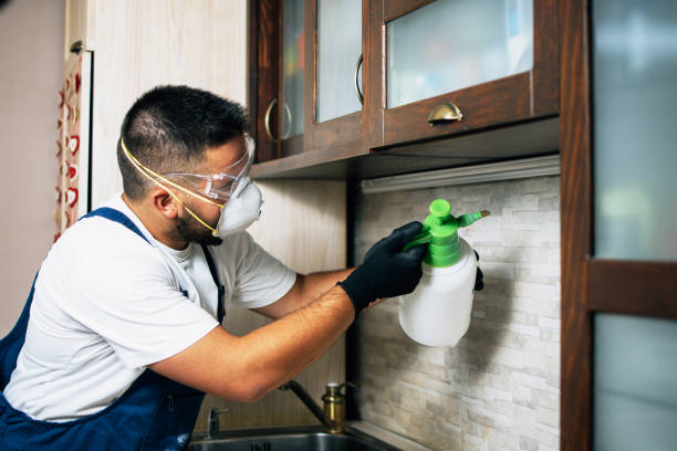 Best Cockroach Control Services  in St Clair Shores, MI