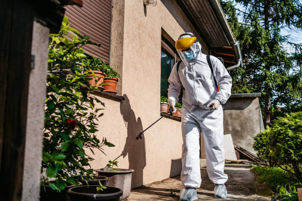 Best Ant Control Services  in St Clair Shores, MI