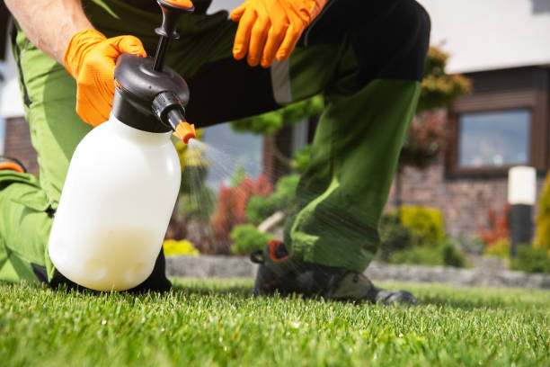 Best Mosquito Control Services  in St Clair Shores, MI