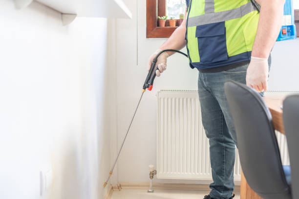 Wasp Removal Services in St Clair Shores, MI