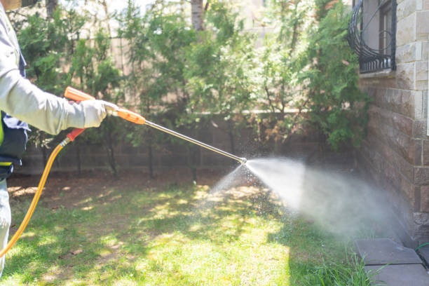 Best Pest Removal Services  in St Clair Shores, MI