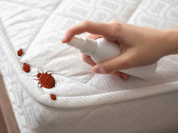 Best Affordable Pest Control Services  in St Clair Shores, MI