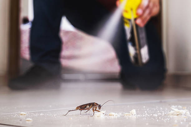 St Clair Shores, MI Pest Control Company