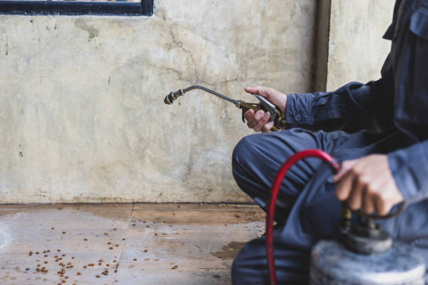 Best Pest Inspection Near Me  in St Clair Shores, MI